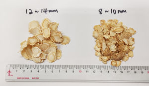 【60g (8-10mm)】西洋参 【40g (10-12mm)】 American Ginseng 治疗疲劳、虚弱、气虚