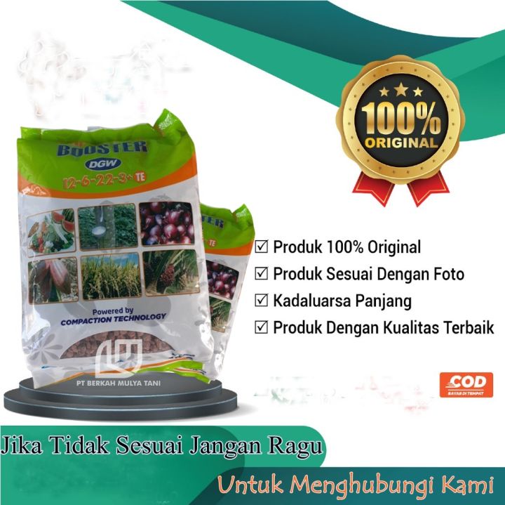 Pupuk%20%20NPK%20Booster%20DGW%2012-6-22-3+TE%20%201%20KG%20/%20500%20Repack%20-%20Image%202