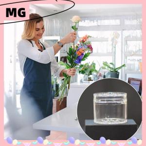 【Magical House】[ New Hot Fashion] Spiral Ikebana Stem Flower Holder For Vase Home Convenient Fixed Bouquet Floral Arranger Circular Hole Design Accessories