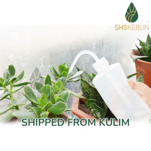 Orchid Succulent and Cactus Squeeze Watering Spray Bottle with Long Nozzle 250ml SHS Kebun