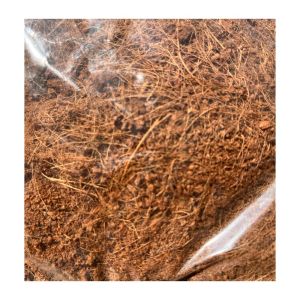 (SG Seller) Coconut Husk Fiber (Usagi) 500g Well Drain Planting Media