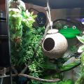 Crested Gecko Coconut Hide Natural Lizard Coco Hut Reptile Hanging Nest Flexible Vine Habitat Decoration Bearded Dragon Terrarium Accessories for Tortoise Chameleon Snake Spider. 