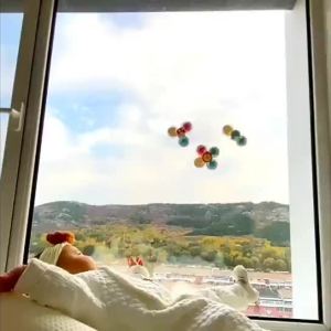 Cartoon Animal Spinning Toy Suction Cup Baby Kids Hand Spinner Wall Suction Bath Toys Mainan Pusingan
