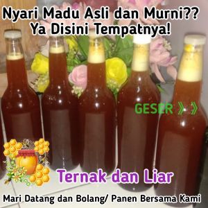 Madu Murni Tanpa Campuran Natural Pure Honey