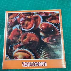 สติ๊กเกอร์ หอยแครงลวก รูปอาหาร ขนาด 20x20 ซม. กันน้ำ สีสด สวย ดูน่าทาน ภาพอาหาร เมนูอาหาร อาหารตามสั่ง ภาพอาหารไทย แต่งร้านอาหาร#สติ๊กเกอร์อาหาร #ตกแต่งร้านอาหาร #ภาพอาหารตกแต่ง #สติ๊กเกอร์สำหรับร้านอาหาร #ออกแบบสติ๊กเกอร์อาหาร #สติ๊กเก