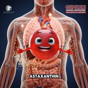 Genesis Natural Astaxanthin 12mg x 30 vegan soft gel capsules Recommended by: Dr. Joseph Lee Anti Aging Skincare