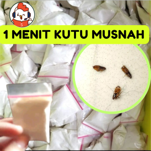obat kutu pinjal kucing ampuh 1 menit kutu ambyar