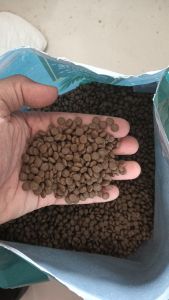 Makanan Kucing Meat Beef Chicken 1kg— Bernutrisi Bulu Berkilat Badan Sihat