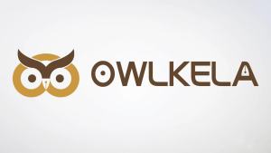 OWLKELA 2 Inch 30 Pack Loose Leaf Binder Rings Nickel Plated Steel Binder Rings Keychain Key Rings Metal Rings for Index Cards Book Ring Ideal for School Home or Office