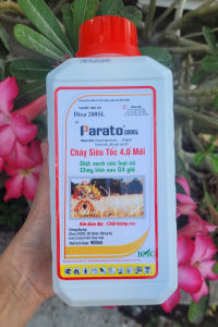 [THIEN THINH SHOP] Thuốc trừ cỏ cháy nhanh DIXA hiệu PARATO 200SL chai 900ml hiệu quả sau 24 giờ phun