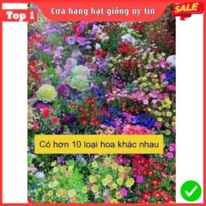 [10 Gói Tặng 1] Hạt Giống Hoa Tổng Hợp 15 Loại hoa siêu đẹp dễ trồng tỉ lệ nảy mầm 98% hoa nở 4 mùa (Gói 500 hạt)