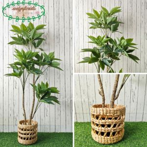 Pohon Hias Pohon Imitasi Daun Manggis Variasi Tinggi 150 & 170 Cover Eceng Gondok Motif Dekorasi Ruang Tamu