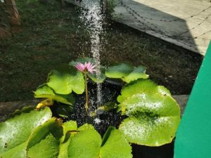 ส่งจากกรุงเทพ Solar Pump น้ำพุโซล่าเซลล์ ปั๊มน้ำพุ(เล็ก) น้ำพุพลังงานแสงอาทิตย์ solar powered fountain pump