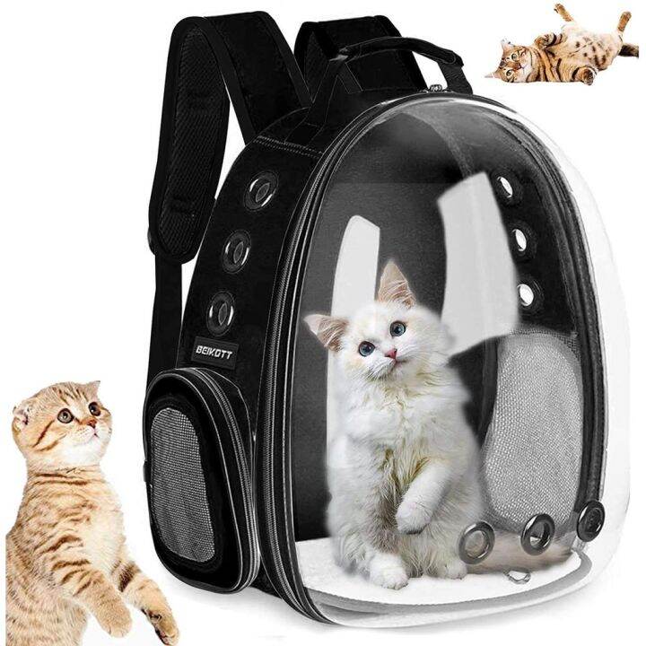 Cat sale carrier lazada