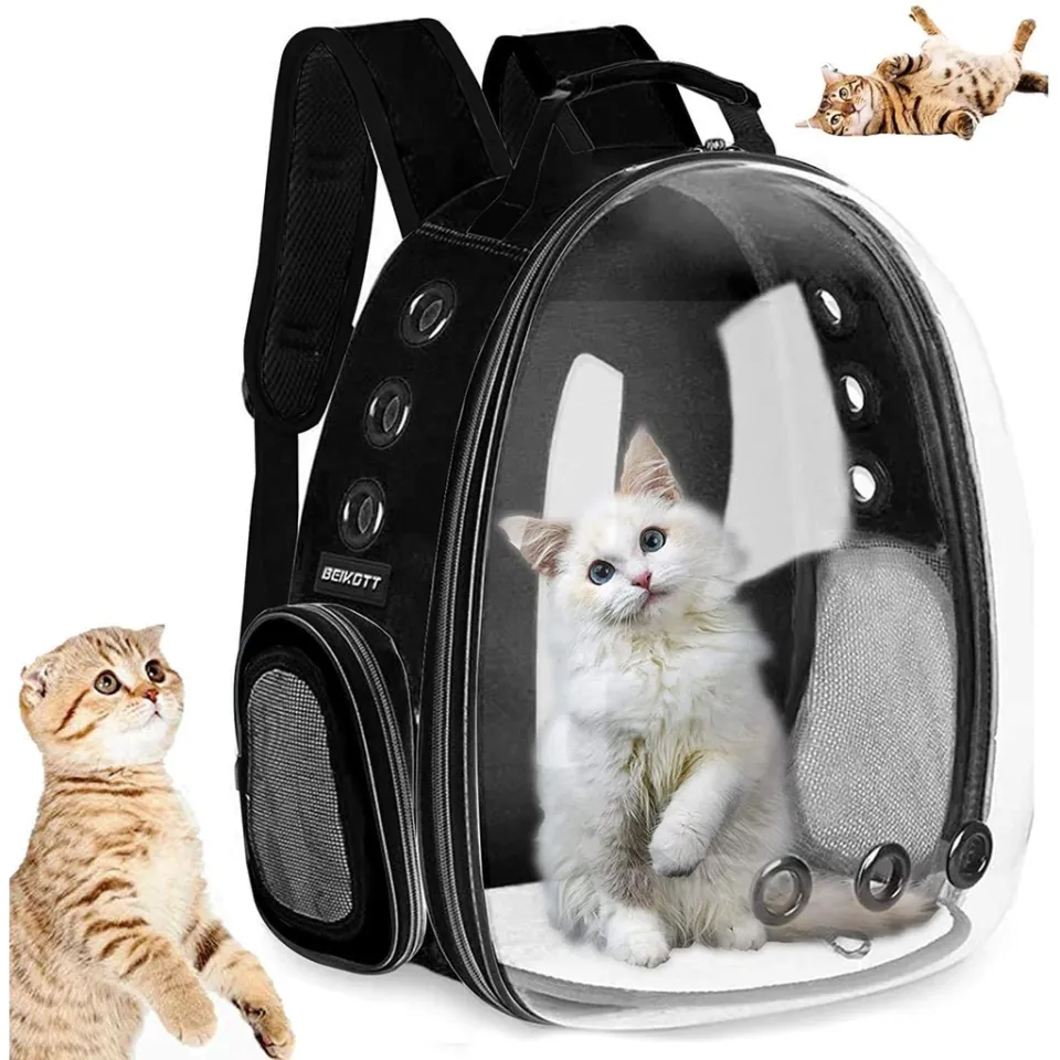 Transparent cat clearance bag