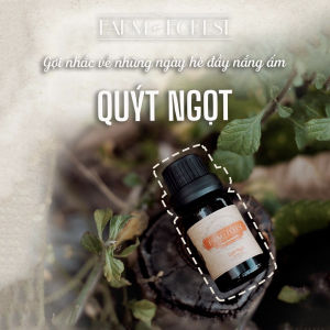 Tinh Dầu Quýt Ngọt 10ml | Tinh Dầu Thiên Nhiên Farm & Forest | Cải Thiện Tâm Trạng Hỗ Trợ Tiêu Hóa & Làm Đẹp Da