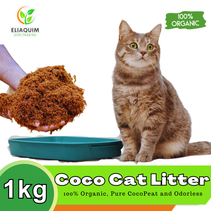 Cat best sale litter delivery