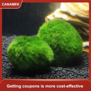 【CANAMEK】 Bóng rêu marimo 3-4cm cây thủy sinh sống tảo bể cá tôm trang trí bóng tảo xanh mô phỏng cây nhân tạo