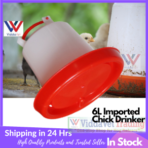 6L Continuous Chick Drinker Chicken Imported drinker for chicken waterer drinker chicken waterer chicken waterer