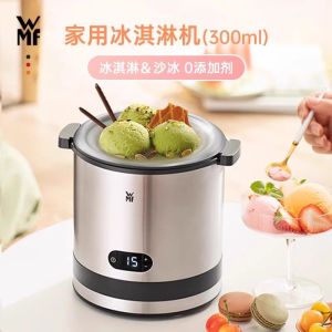 WMF Small Stainless Steel Ice Cream Maker 300ml Household Homemade Automatic Fruit Ice Cream DIY Ice Cream Maker Yogurt Cone Maker gift Ice Cream machine