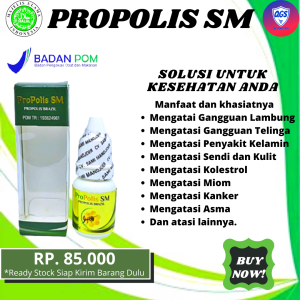 Obat Telinga Bernanah Menahun di Apotik Bau Congek Berair Tetes Telinga Dewasa Anak Propolis SM