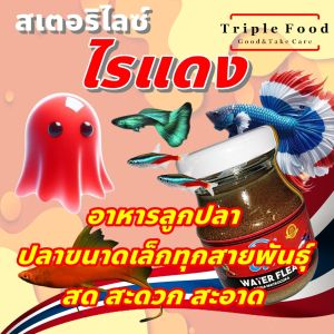 ไรแดง อาหารปลา UHT อาหารลูกปลา ปลากัด ปลาหางนกยูง ปลาสวยงาม ไรแดงสด ไลแดง ยังมี อาร์ทีเมีย ลูกน้ำ ไรนางฟ้า ไข่ไรนางฟ้า ใบหูกวาง ด่างทับทิม