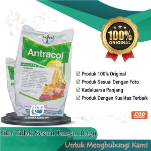 Fungisida Antracol 70 WP + Zinc  1 Kg / 500gr / 250gr Original Asli Bayer
