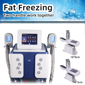 360 Cryolipolysis Fat Body Freeze Weight Loss For Cryotherapy Removal Slimming Machine