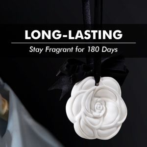 Natural French Essential Oil Gypsum Diffuser Pendant Long-Lasting Closet & Car Freshener Wardrobe Fragrant Tablets