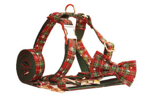 New green snowflake Christmascollar and leash set featuring a stylish bow and floral design suitable for cross-border sales