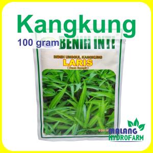 Benih Kangkung Laris Benih Inti 100 gram daun sempit hijau biji bibit sayuran unggul hidroponik