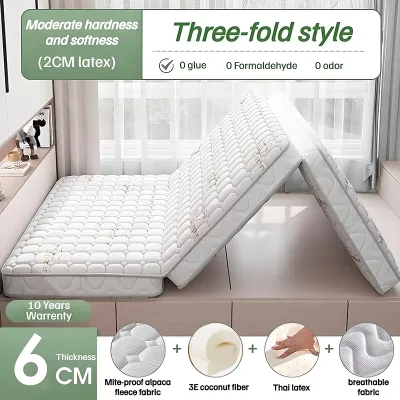 DreamHug 3-Fold Mattress Coconut Coir Natural Latex Single Bed Foldable Tatami Floor Mattres Dorm Small Space