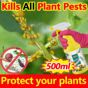 No pests for 10 years Plant organic insecticide 500ML Pesticides for plants Organic insecticide Insecticide for vegetables For killing plant pests without harming plants Fungicide for plants Pest control