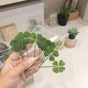 Sixth street 1 5 10Pcs Lucky Clover Postcards Natural Grass Transparent Wishing Cards For Bookmarks
