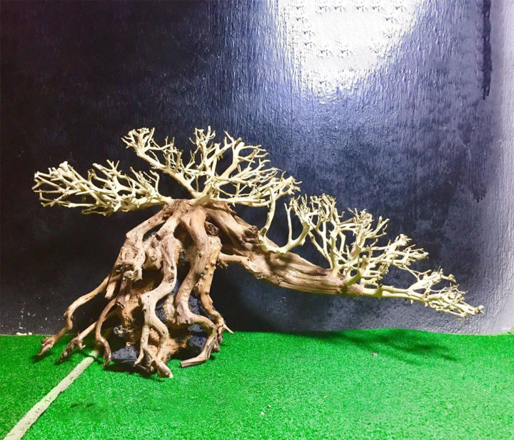 L%C5%A9a%20bonsai%20th%E1%BB%A7y%20sinh%20trang%20tr%C3%AD%20b%E1%BB%83%20c%C3%A1%20c%C3%A2y%20l%C5%A9a%20h%E1%BB%93%20c%C3%A1%20th%E1%BB%A7y%20sinh%20bonsai%20g%E1%BB%97%20l%C5%A9a%20th%E1%BB%A7y%20sinh%20-%20Image%205