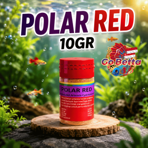 Artemia Brine Shrimp Food | Polar Red Instant Shell-Free Artemia | High Protein Fry Nutrition | Betta & Channa Feed | Growth Support | Clean Dissolving | Aquarium Breeder Food | 5g 10g 20g 50g 100g | Natural Fish Feed | Fry & Larvae Feeding Daily