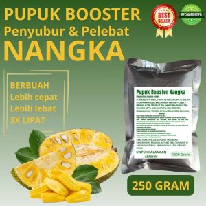 Pupuk Booster Nangka / Obat Booster Buah Nangka / Pupuk Booster Buah Nangka / Pupuk Buah Nangka