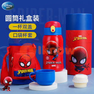 I know Disney Frozen Kids Water Bottle with Straw Lid | Reusable Insulated Stainless Steel Cup for Girls and boy School | 500ml