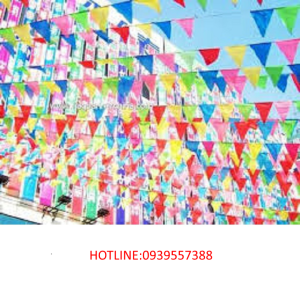 100 m cờ dây  cờ tam giác