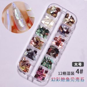 เครื่องประดับติดเล็บ ลายเปลือกหอยตกแต่งเล็บ 5 ลาย ใหญ่กลางเล็ก (1กล่อง/12สี)