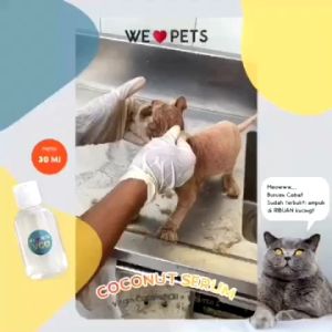 Minyak VCO: Solusi Alami untuk Berbagai Masalah Kesehatan Hewan