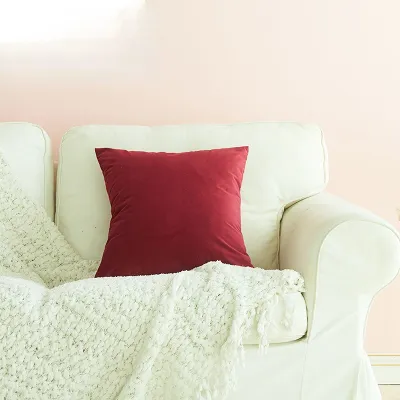 สีทึบ ปลอกหมอนโซฟา 45x45ห้องนั่งเล่น ที่นั่ง ตกแต่งบ้าน ปลอกหมอนอิง หลายขนาด (ไม่มีฟิลเลอร์)