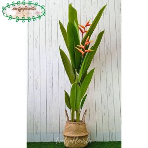 Pohon Hias Daun Pisangan Heliconia Bunga Bird Of Paradise T165 Latex Artificial Pot Dasar Cover Purun Belly Medium Dekorasi Rumah Pajangan Aesthetic Ruang Tamu