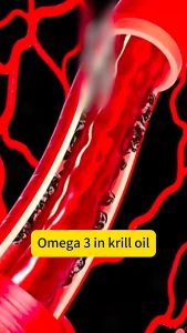 Local Stock Antarctic Krill Oil 60 Capsules Astaxanthin Krill Oil/Nutrients Improves Physical Performance Natural Shrimp Oil COD