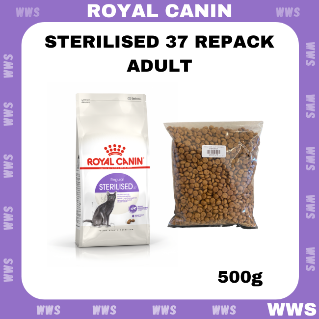 Dry Cat Royal Canin Feline Sterilised 37 Royal Canin Sterilised 37
