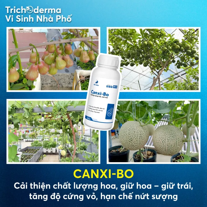 Ph%C3%A2n%20B%C3%B3n%20L%C3%A1%20Canxi-Bo%20Vi%20L%C6%B0%E1%BB%A3ng%20D%E1%BA%BF%20M%C3%A8n%20%E2%80%93%20H%E1%BB%97%20Tr%E1%BB%A3%20%C4%90%E1%BA%ADu%20Tr%C3%A1i,%20H%E1%BA%A1n%20Ch%E1%BA%BF%20N%E1%BB%A9t%20Tr%C3%A1i,%20R%E1%BB%A5ng%20Tr%C3%A1i%20Non%20500ml,%205l%C3%ADt%20-%20Image%204