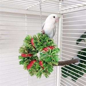 นกแก้วของเล่นจับเหยื่อปลอดภัยและเป็นธรรมชาติสำหรับของเล่นจับเหยื่อในการกัดกรง