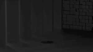 19 Tai nghe Bluetooth không dây TWS tai nghe thể thao chống nước tai nghe kinh doanh gọi rảnh tay tai nghe nhạc stereo có micro