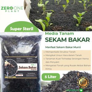 Pupuk Sekam Bakar Media Tanaman Buah Sayur Pupuk Organik Sekam Bakar Premium
