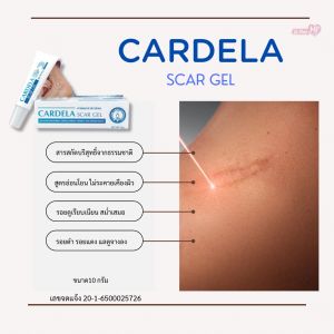 CARDELA SCAR GEL คาร์เดลาร์ สการ์เจล เจลสำหรับดูแลรอยแผลเป็น สารสกัดจากธรรมชาติ ขนาด 10 กรัม (1หลอด)